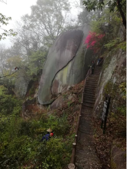 铜锣寨风景区组织员工义务劳动