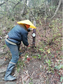 铜锣寨风景区组织员工义务劳动