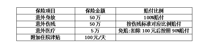 霍山县殡仪馆和城市公益性公墓一期后续配套工程设计-采购-施工（EPC）总承包项目团意险采购公告