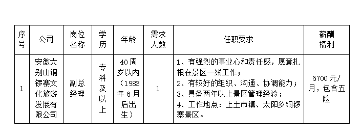 安徽大别山铜锣寨文化旅游发展有限公司公开招聘临时工作人员公告（一）