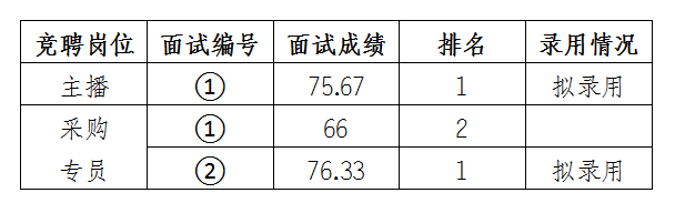 安徽大别山乡村振兴产业发展有限公司竞聘工作人员面试结果公示