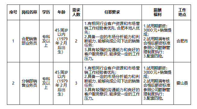 安徽大别山乡村振兴产业发展有限公司招聘临时工作人员公告