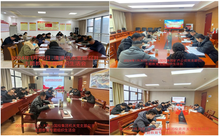 国投集团召开主题教育专题组织生活会