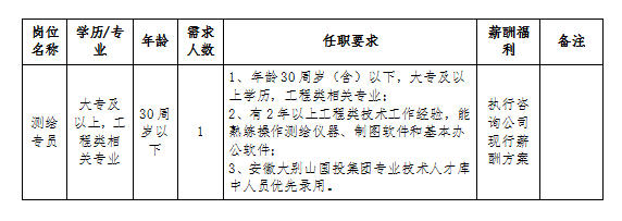 安徽大别山工程咨询有限公司2024年招聘临时工作人员公告