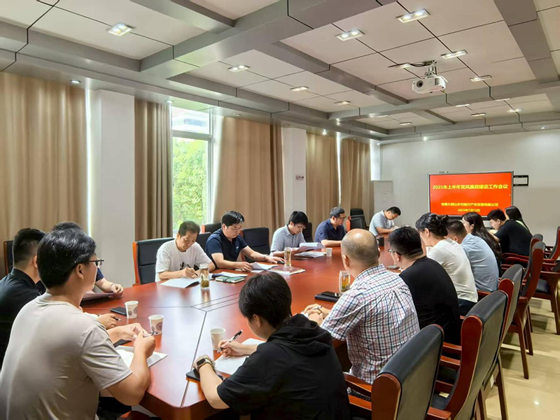 乡村振兴公司召开2025年上半年度党风廉政建设工作会议