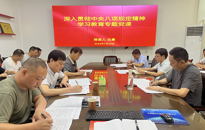 淠河水能公司党支部开展专题党课学习活动