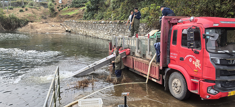 水产公司组织开展2025年秋季增殖放流