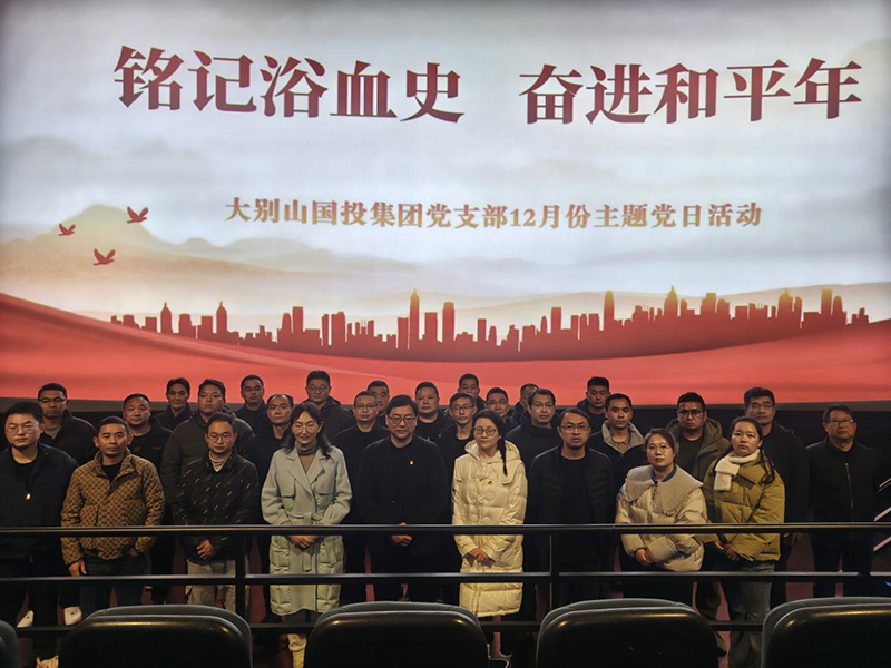 大别山国投集团党支部组织开展党建活动