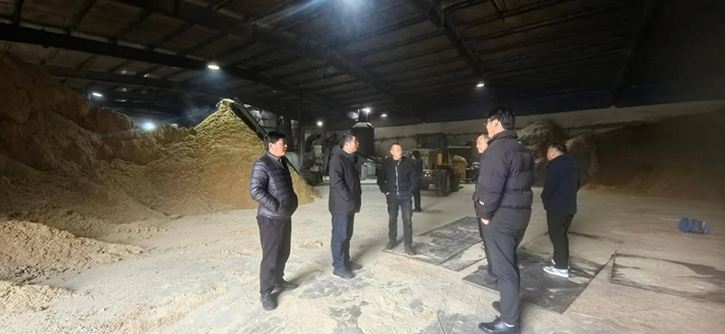 乡村振兴公司组织开展春节前安全生产大检查