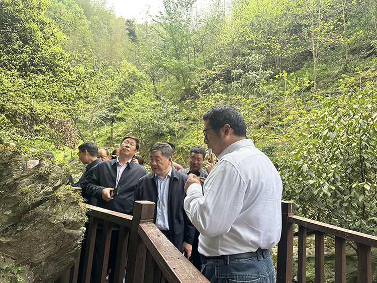 中国工程院院士陈军一行调研霍山石斛原种保育基地