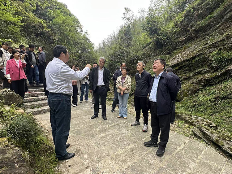 中国工程院院士陈军一行调研霍山石斛原种保育基地