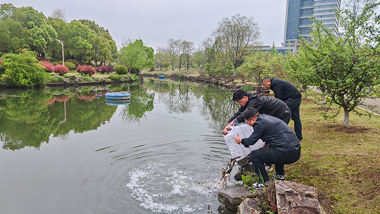 大别山水产公司开展淠阳湖捕捞增