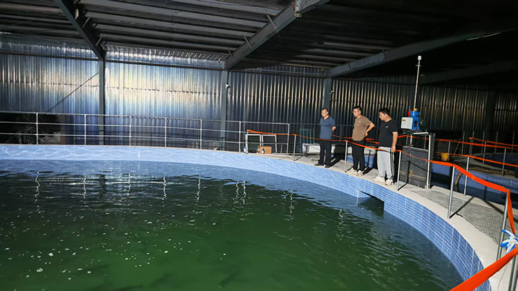 水产公司净水暂养（瘦身鱼）基地投入试运营