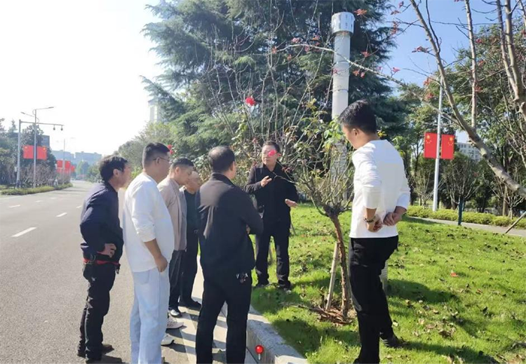 中京物业公司特邀月季专家“把脉开方”