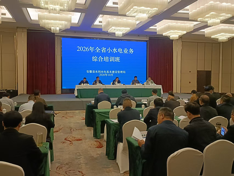 淠河水能公司参加全省小水电业务综合培训会